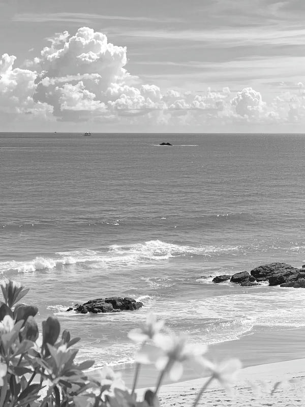 ảnh biển đen trắng 29