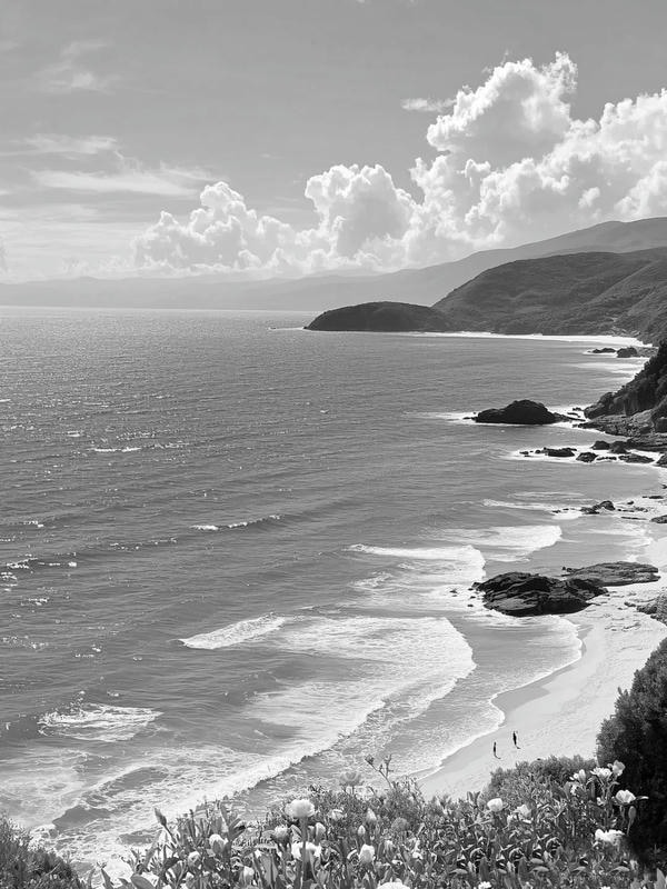 ảnh biển đen trắng 30