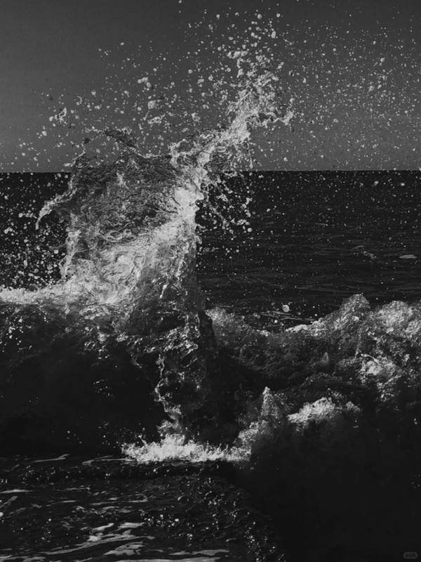 ảnh biển đen trắng 6