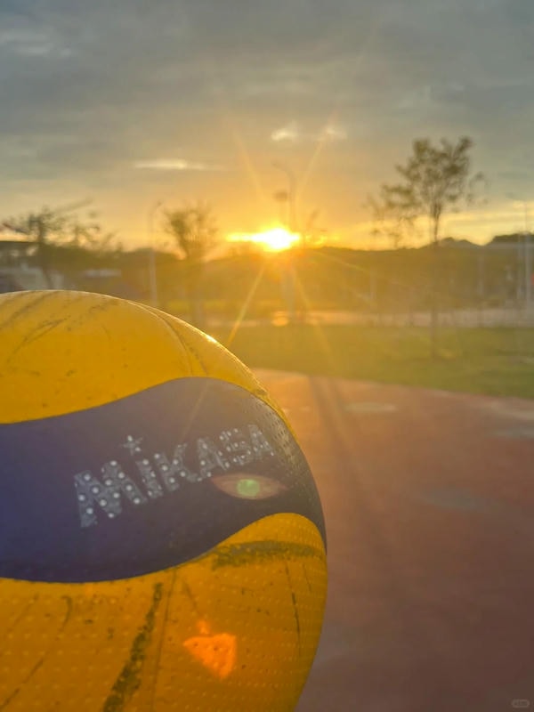 ảnh bóng chuyền 11