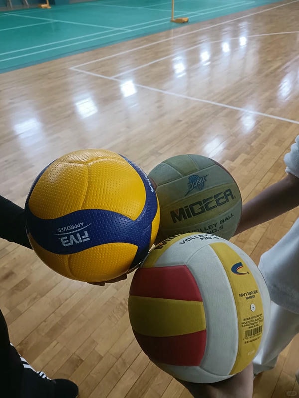 ảnh bóng chuyền 12