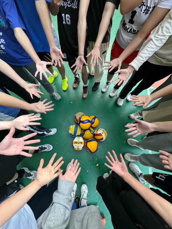 ảnh bóng chuyền 29