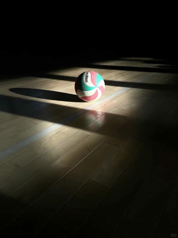 ảnh bóng chuyền 3