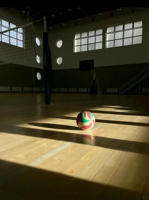 ảnh bóng chuyền 30