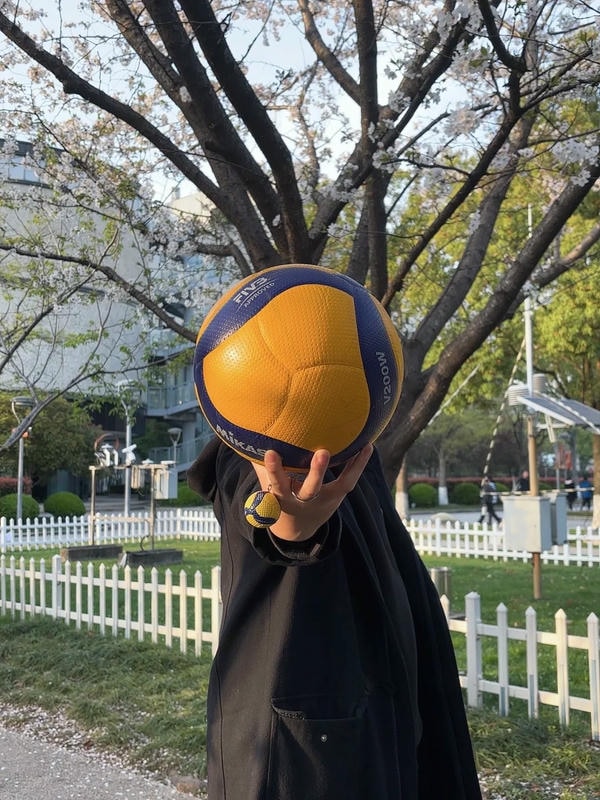 ảnh bóng chuyền 5