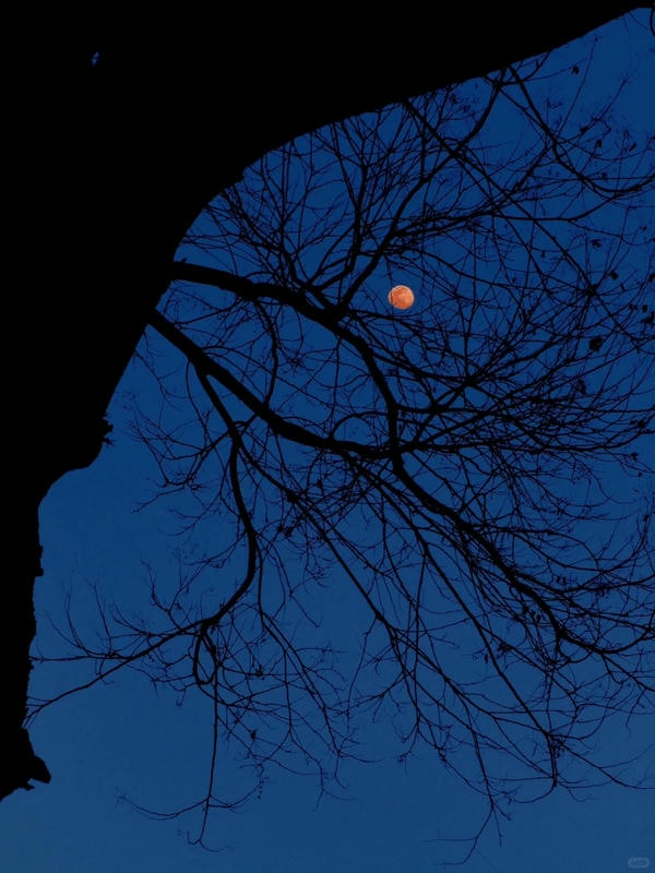 ảnh chill buồn 12