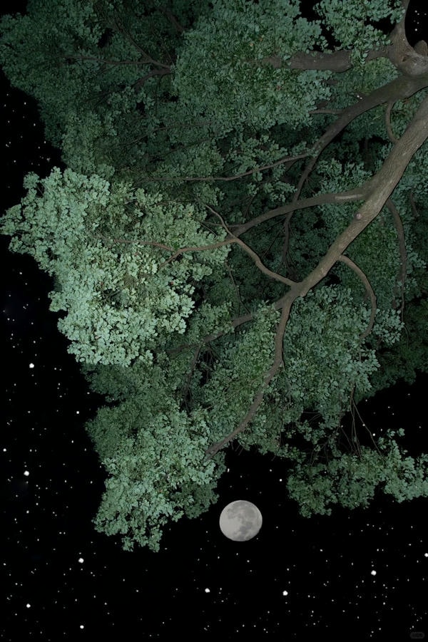 ảnh chill buồn 13