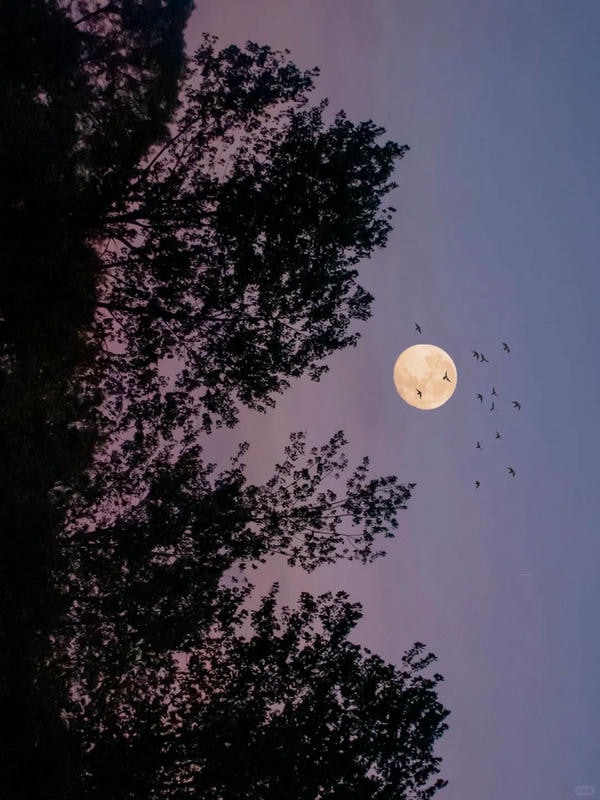 ảnh chill buồn 14