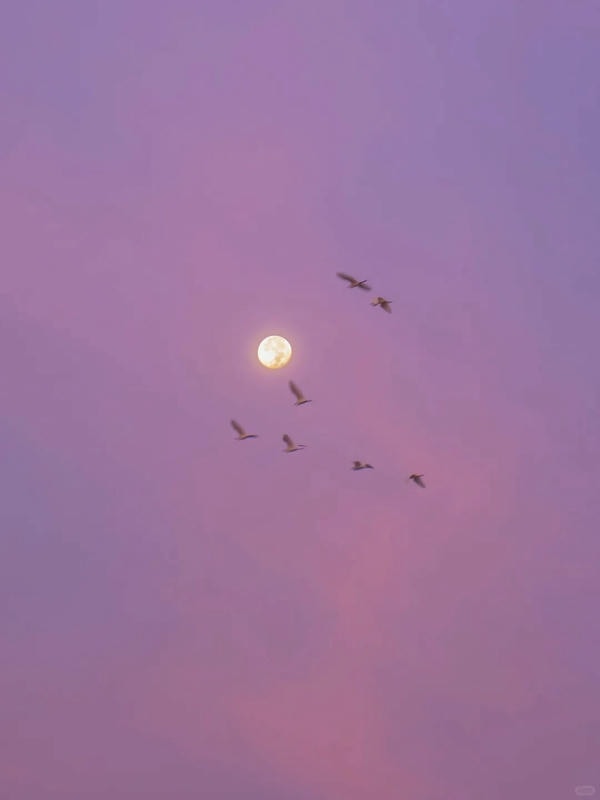 ảnh chill buồn 15