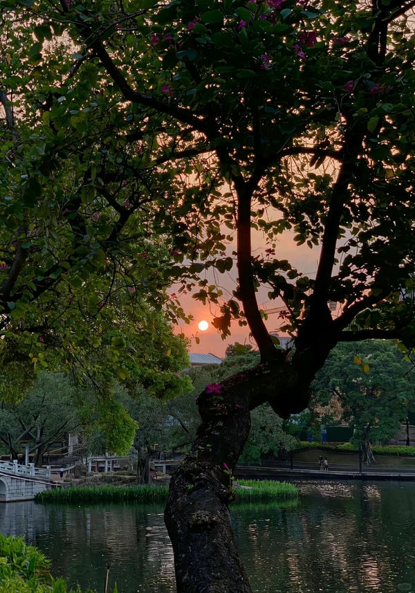 ảnh chill buồn 24