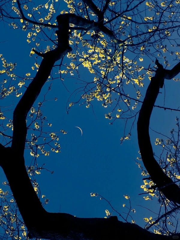 ảnh chill buồn 30