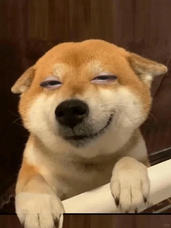 ảnh chó cười hài 3