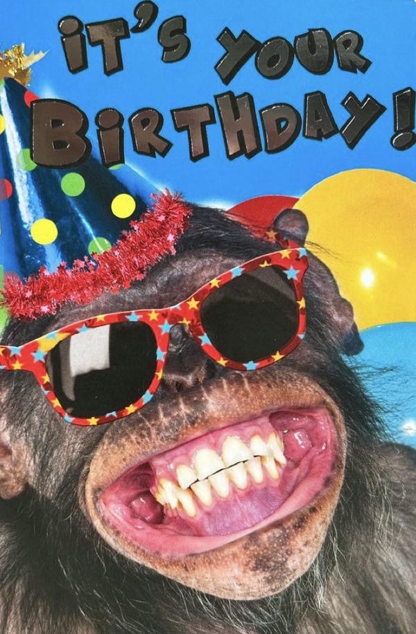 ảnh chúc mừng sinh nhật chế bựa