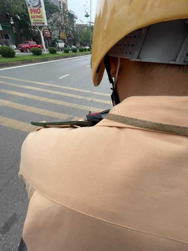 ảnh công an bắt xe 3