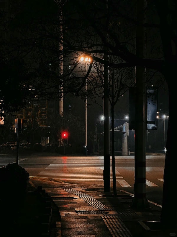 ảnh đường phố về đêm 13