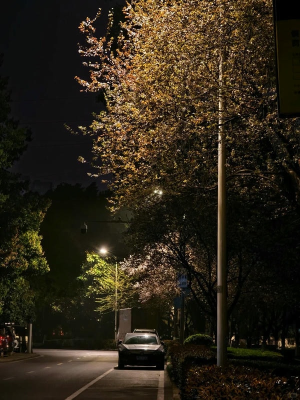 ảnh đường phố về đêm 25