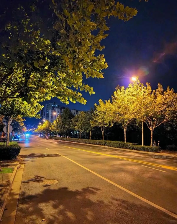 ảnh đường phố về đêm 27