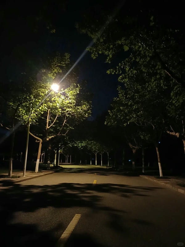 ảnh đường phố về đêm 8