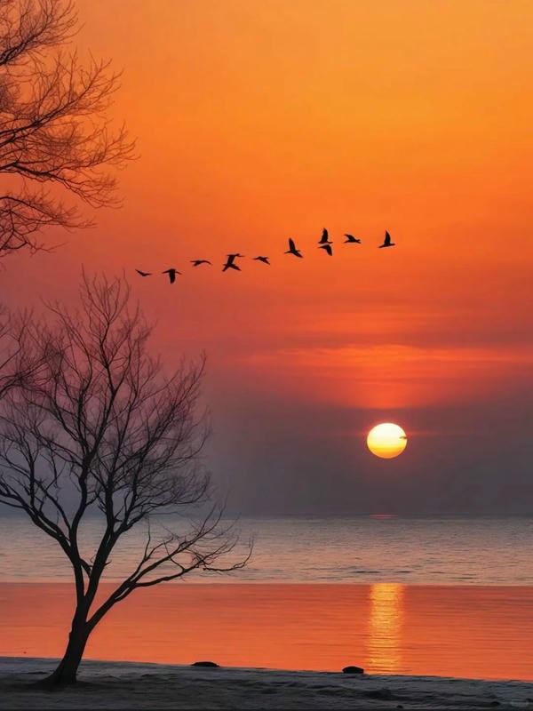 ảnh hoàng hôn đẹp 12