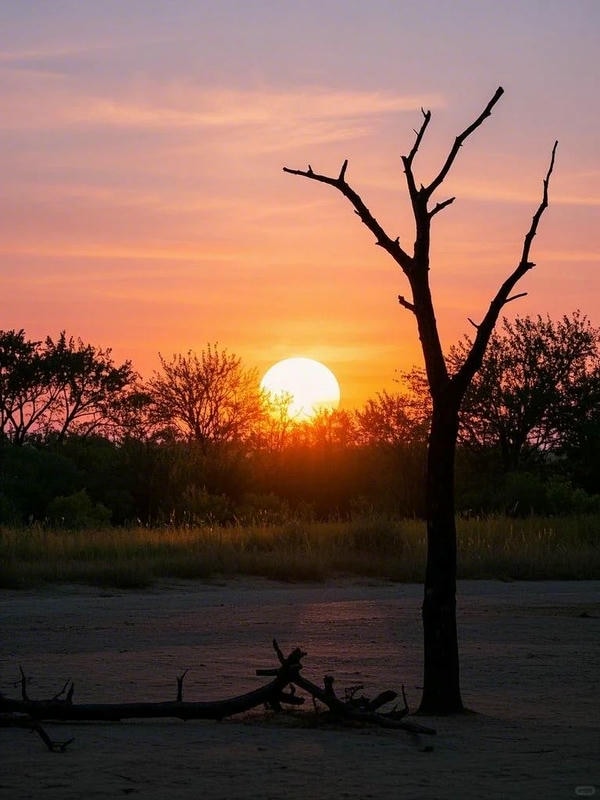 ảnh hoàng hôn đẹp 24