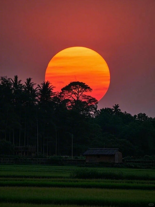 ảnh hoàng hôn đẹp 25