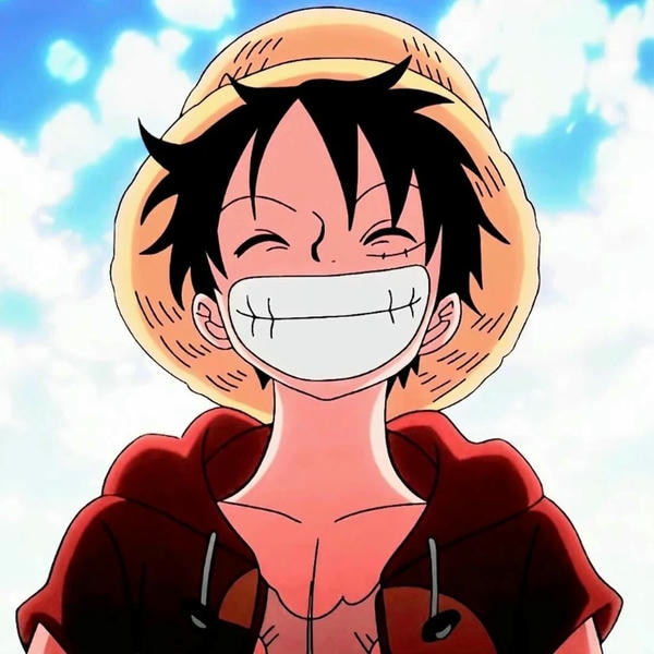 ảnh luffy cười 13