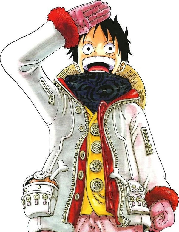 ảnh luffy cười 21