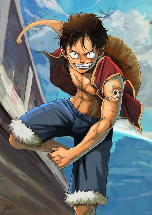 ảnh luffy cười 29