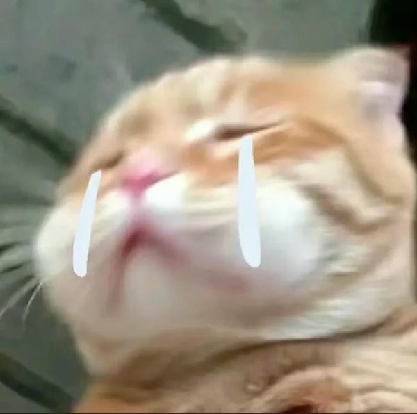 ảnh mèo buồn cute 36