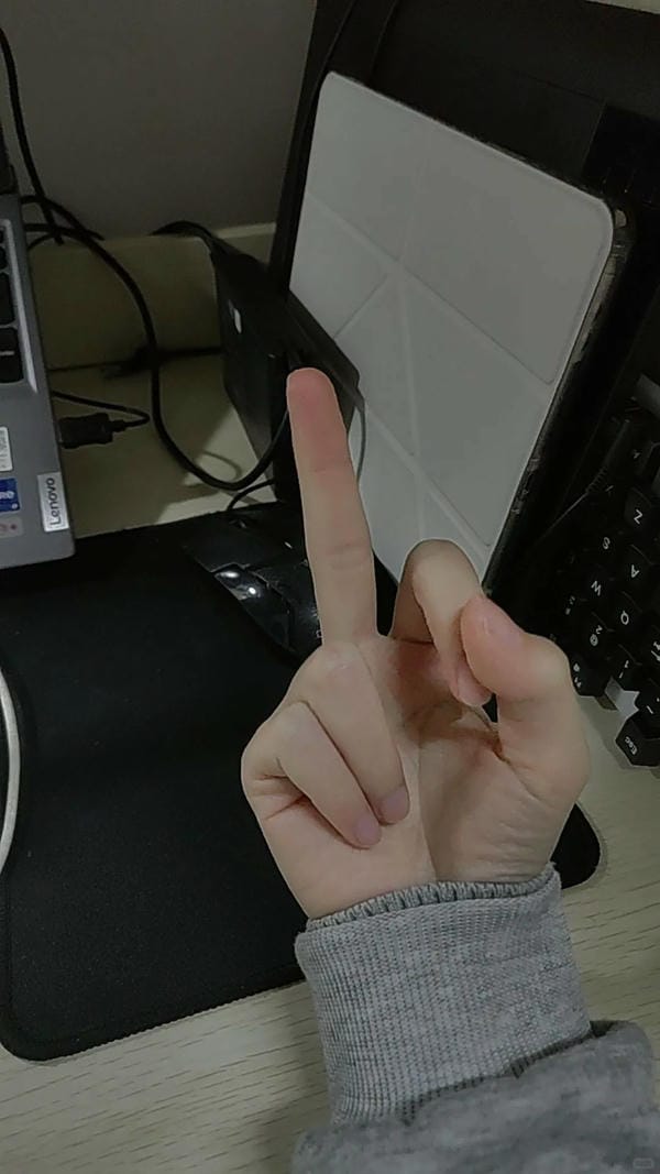 ảnh ngón giữa 10