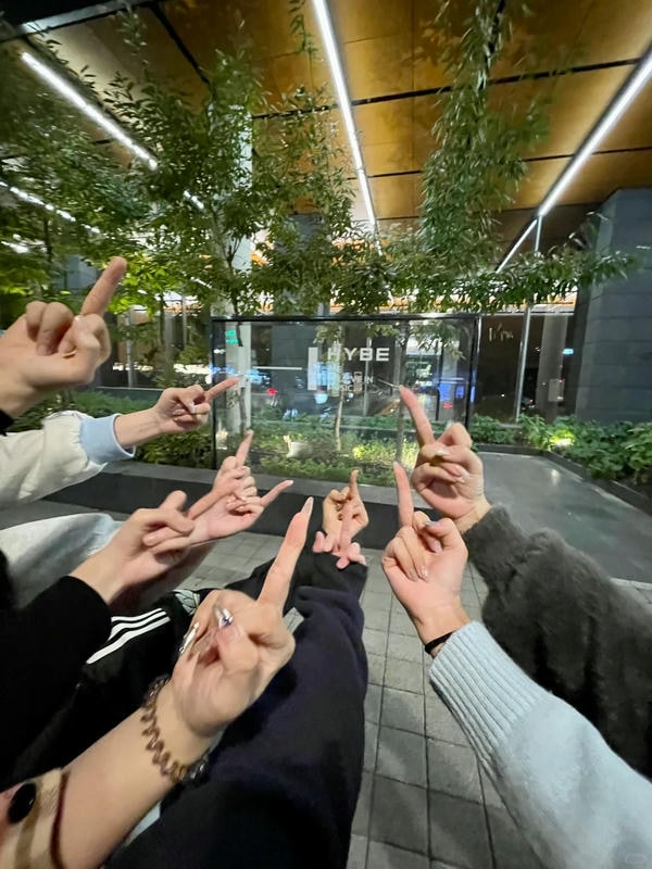 ảnh ngón giữa 13