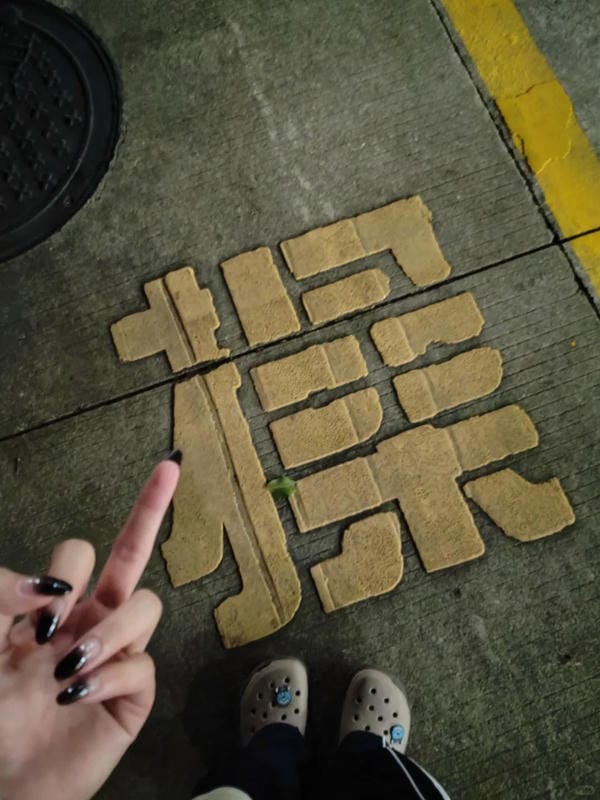 ảnh ngón giữa 19