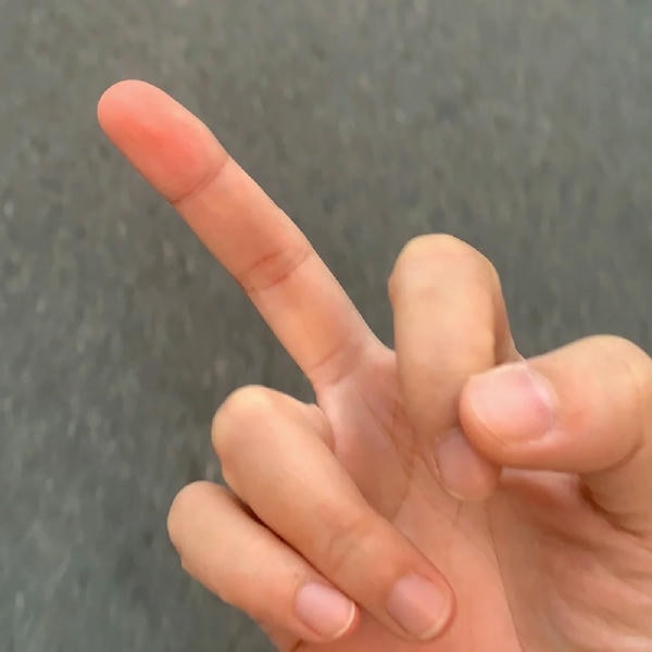 ảnh ngón giữa 19