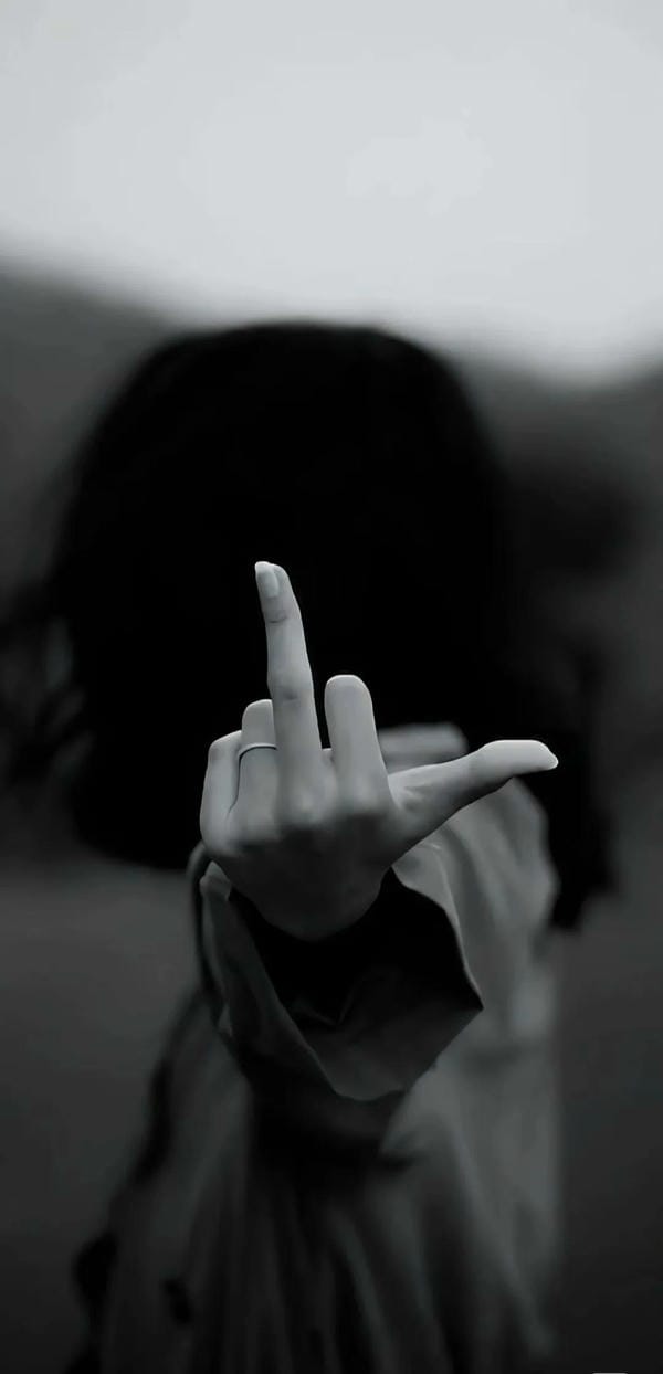 ảnh ngón giữa 24