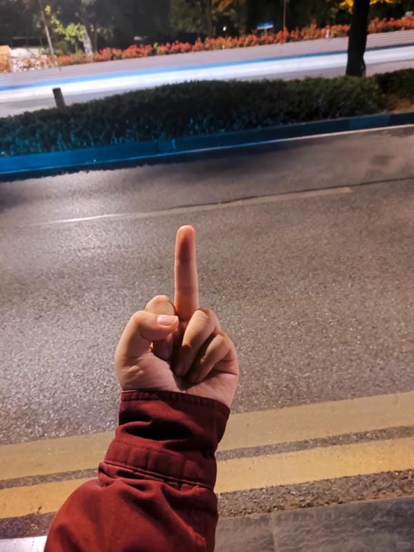 ảnh ngón giữa 27