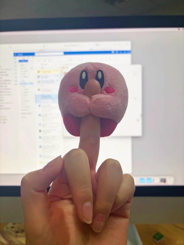 ảnh ngón giữa 6