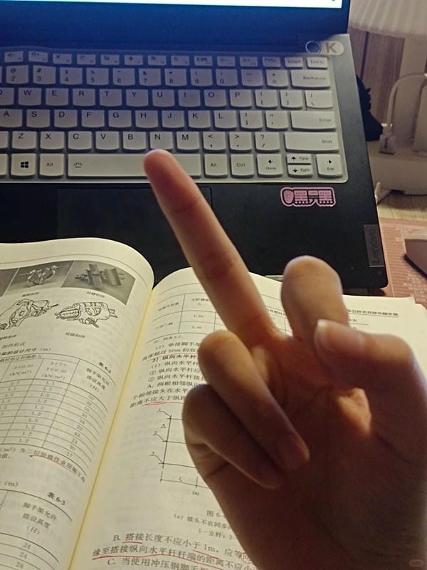 ảnh ngón giữa 7