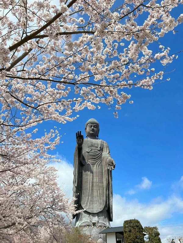 ảnh phật thích ca 4