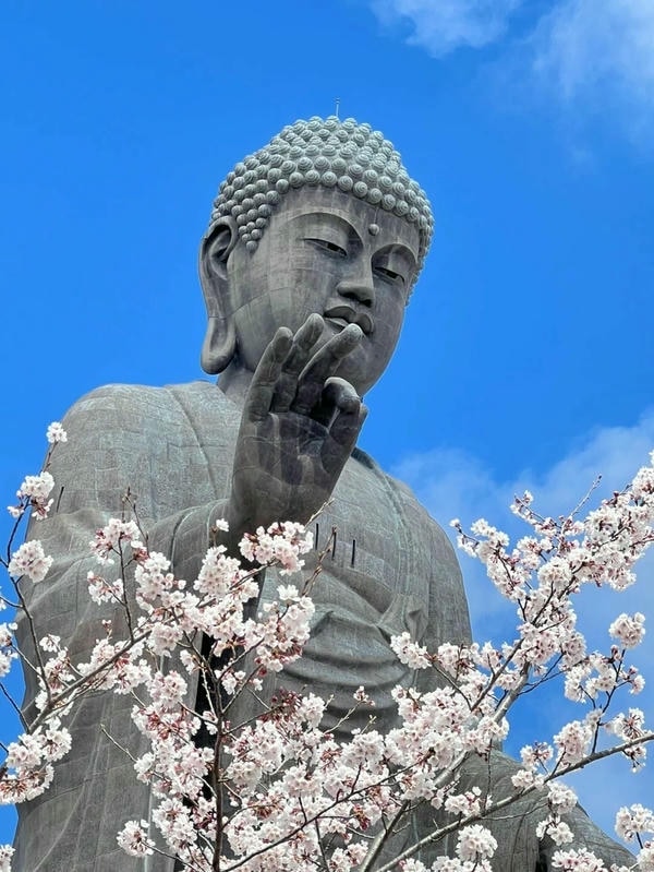 ảnh phật thích ca 5