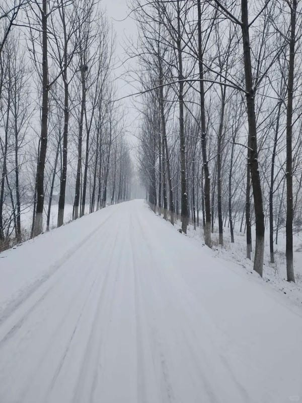 ảnh phong cảnh chill (10)