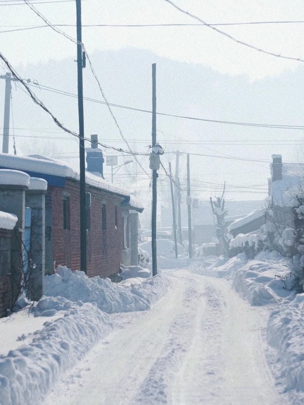 ảnh phong cảnh chill (14)