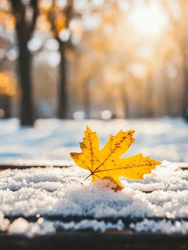 ảnh phong cảnh chill (16)