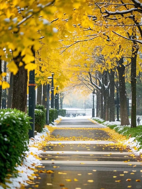 ảnh phong cảnh chill (21)