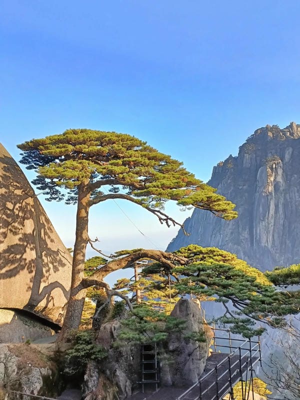 ảnh phong cảnh chill (3)