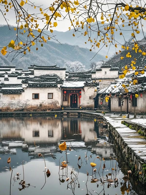 ảnh phong cảnh chill (8)