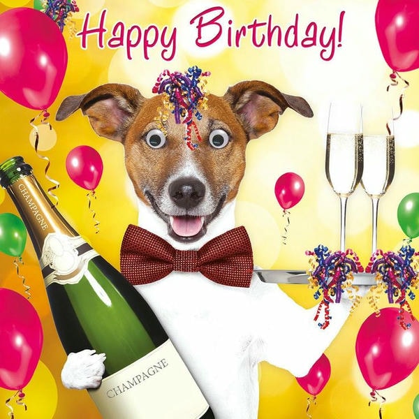 ảnh sinh nhật chế 10