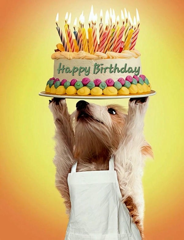 ảnh sinh nhật chế 11