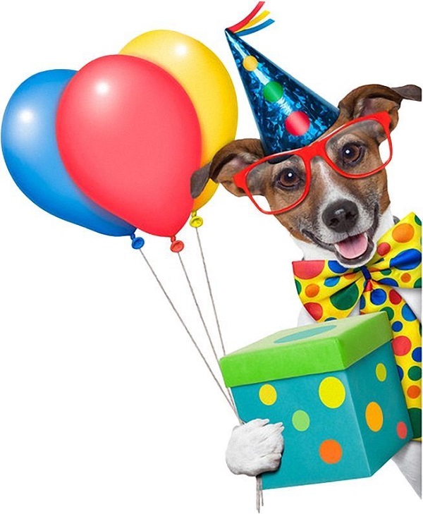 ảnh sinh nhật chế 24