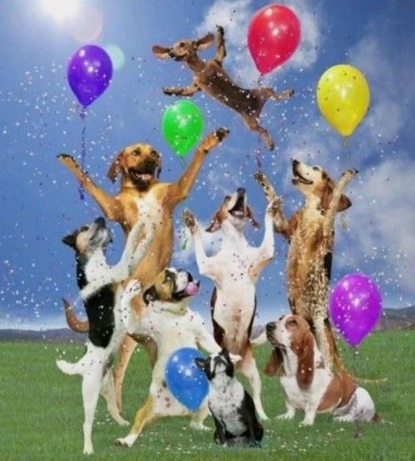 ảnh sinh nhật chế 26