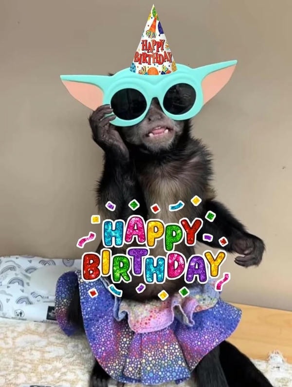 ảnh sinh nhật chế 9